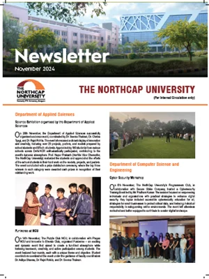 newsletters-nov-2024