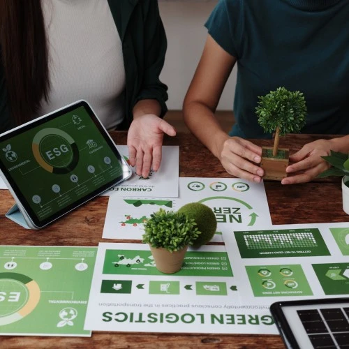 Economics Students Can Shape India’s Sustainable Future-ncu